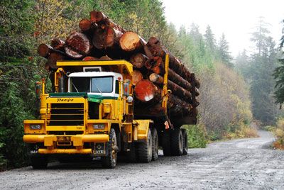 A logging truck on backroads in the woods